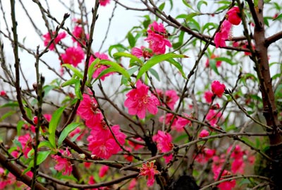 Briefkastensendung vom 2.1.2013