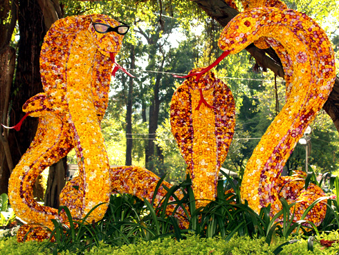 Eröffnung des Frühlingsblumenfestes Tao Dan 2013