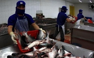 Can Tho genehmigt Investitionsprojekte mit Wert von zehn Millionen US-Dollar