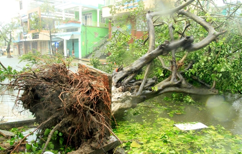 Fünf Tote durch Taifun Nari