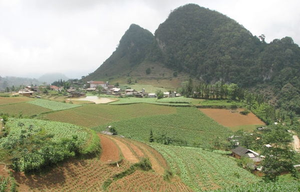 Gemeinde Sin Cheng engagiert sich für Neugestaltung ländlicher Räume