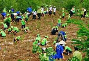 Vietnam engagiert sich für Aktivitäten gegen Klimawandel