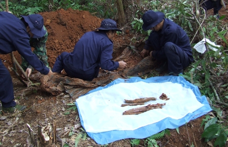 Vietnam will bis 2015 rund 10.000 sterbliche Überreste von gefallenen Soldaten finden