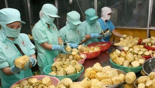 Bericht über Wettbewerbsfähigkeit und Technologien der Unternehmen