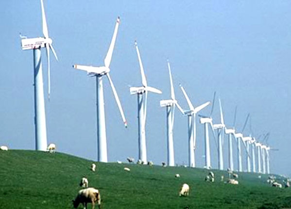 Unternehmensforum zum Kampf gegen Klimawandel