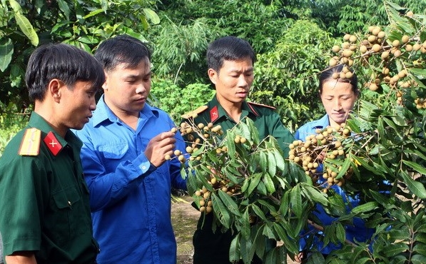 Seminar über Auswahl 500 freiwilliger junger Intellektueller