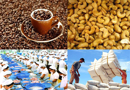 Verbesserung der Exportwerte landwirtschaftlicher Produkte Vietnams