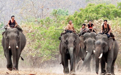 Elefantenzähmung der Volksgruppe der M'Nong