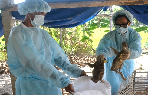 Abgeordnete diskutieren den Veterinärgesetzentwurf