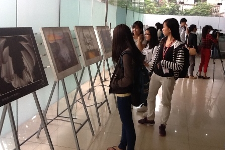 Fotoausstellung über vietnamesische Kulturschätze in Hanoi