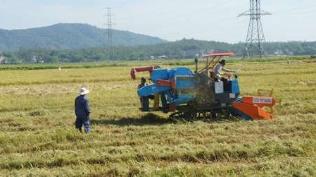 Kreis Hoa Vang der Stadt Da Nang: Lichtpunkt in Neugestaltung ländlicher Räume
