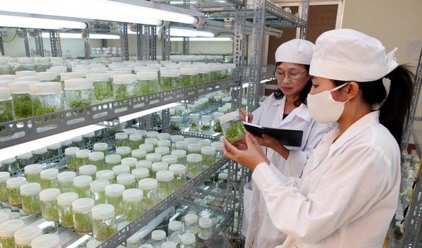 Vietnamesisch-japanische Kommission tagt über Zusammenarbeit in Technologie