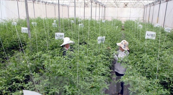 Vietnamesisch-japanisches-Unternehmerforum in Hanoi