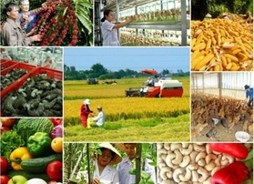 Verordnung der Regierung zur Umstrukturierung des Landwirtschaftszweigs