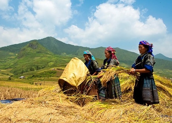Privilegierte Investitionen zur Sozialwirtschaftsentwicklung in entlegenen Regionen