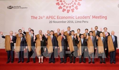 Tran Dai Quang beendet seine Aktivitäten im Rahmen des APEC-Gipfels 2016