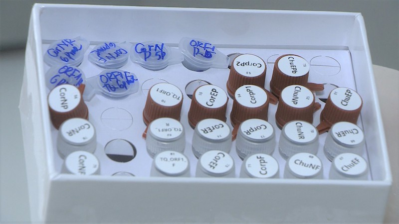 Covid-19-Epidemie: Vietnam ist erfolgreich bei der Herstellung von Testkits zum Nachweis des Virus SARS-CoV-2