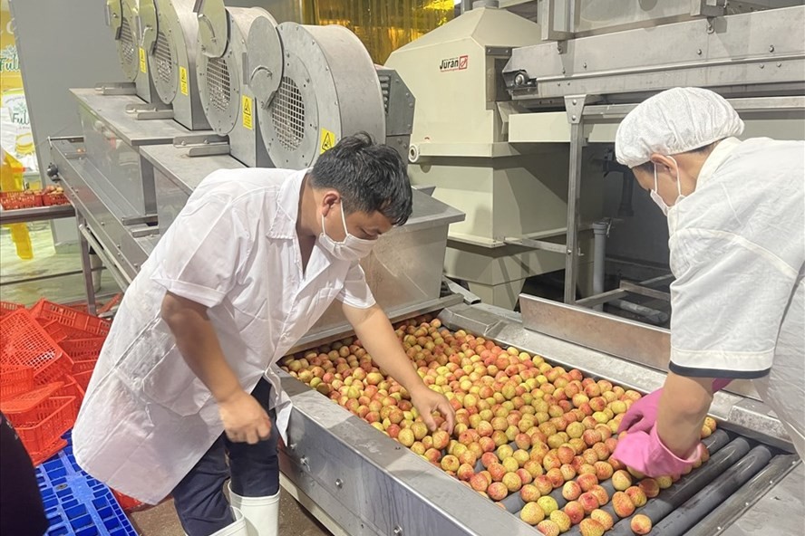 Gutes Wachstum Vietnams im ersten Halbjahr 2021