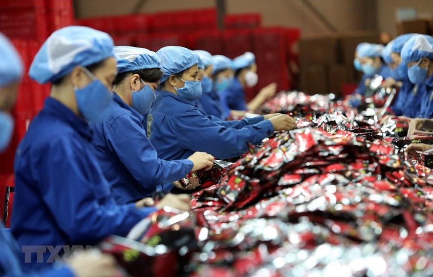 Singapurs Artikel: EU-Vietnam-Freihandelsabkommen trägt zur Minderung der Wirkungen der Wirtschaftsrezession