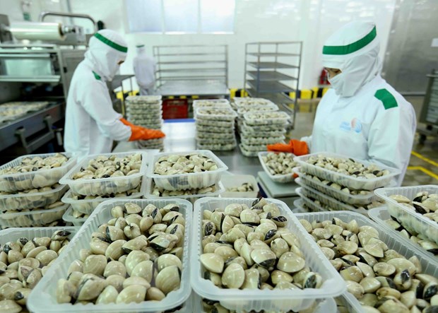 Wahrnehmung der Chancen und Exportförderung auf Belgien- und EU-Markt