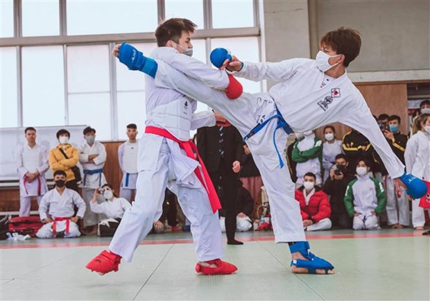 Karate-Turnier der in Japan lebenden Vietnamesen