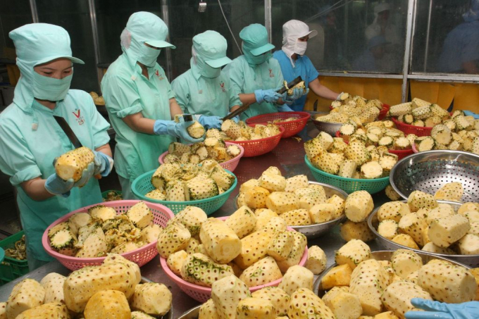 Vietnam nimmt innerhalb der ASEAN den ersten Platz über den Export nach Ungarn ein