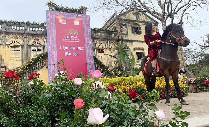 Provinz Lao Cai organisiert das Fest “Liebe und Rosen”