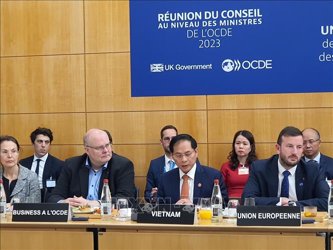 Treffen des OECD-Ministerrates: Außenminister Bui Thanh Son betonte Entschlossenheit zur grünen Wende