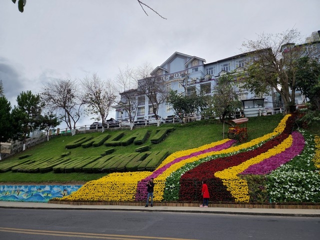 Dalat-Blumenfestival findet fast ein Monat lang statt
