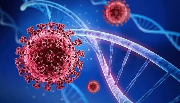 ក្រសួងសុខាភិបាលចេញសេចក្តីព្រមានទាក់ទងនឹងវីរុស SARS-CoV-2 ថ្មី