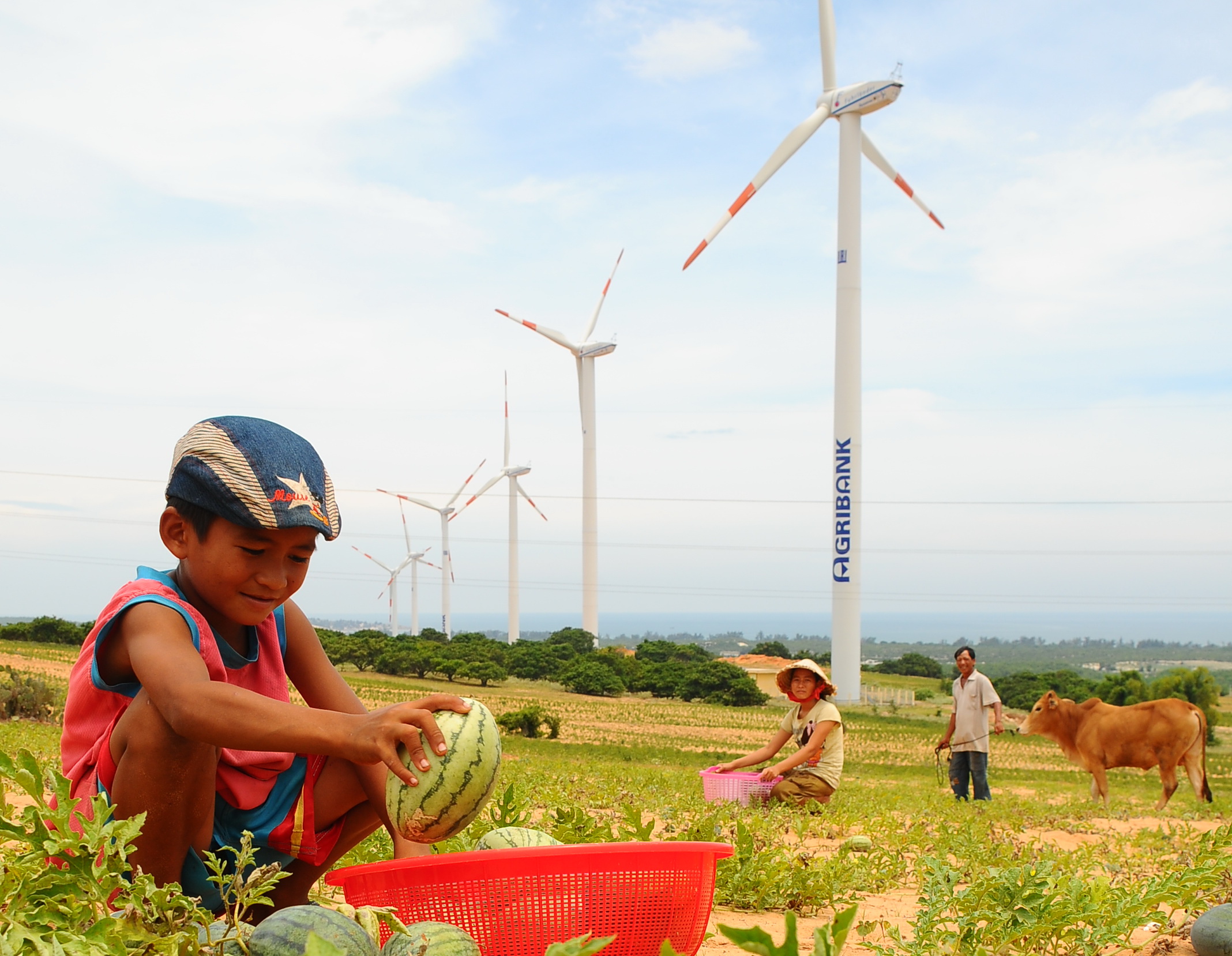 Menguasai teknologi energi bersih, melindungi lingkungan untuk berkembang secara berkesinambungan