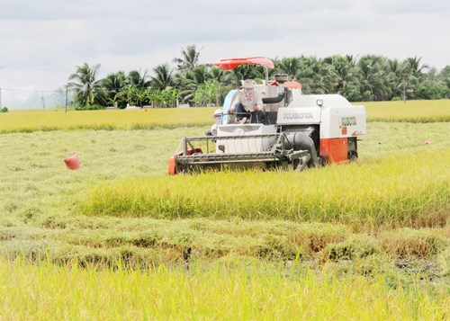 Melakukan restrukturisasi pertanian untuk beradaptasi dengan perubahan iklim