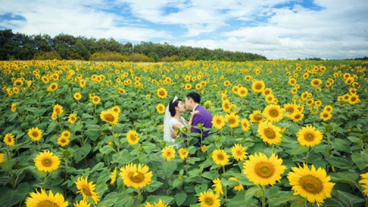 Da Lat Masuk ke dalam 10 Tempat untuk Memandangi Bunga Papan Atas di Dunia