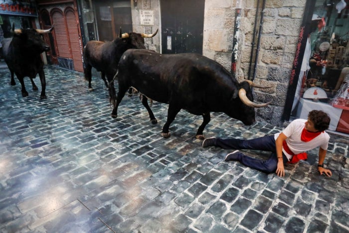 A tourist in Spain looks like he's in trouble with these bulls, but they're actually taxidermy animals. The taxidermy bulls were put on display at "El panuelico de Hemingway" in Pamplona, Spain. (Photo: Reuters/Jon Nazca)