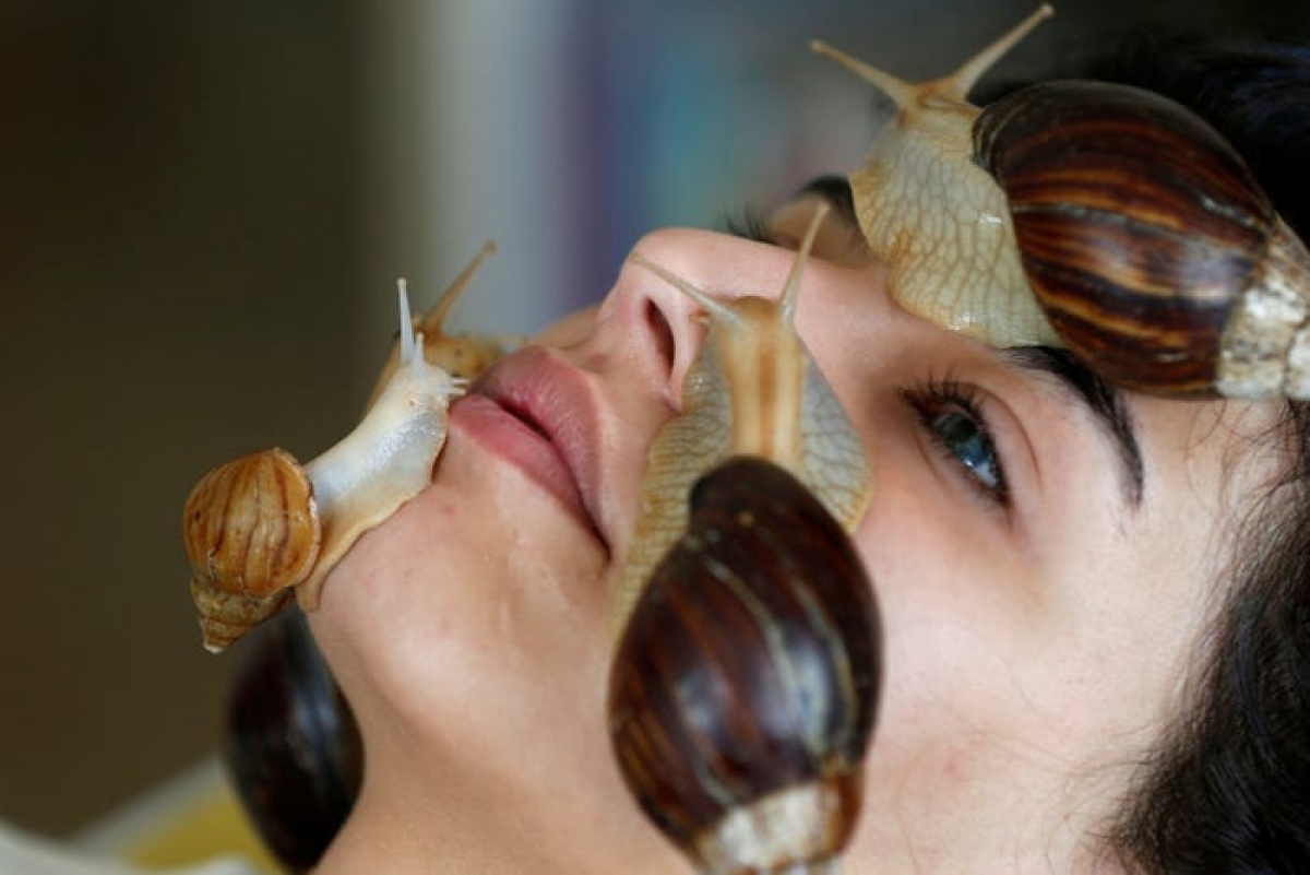 22-year-old Norma Rashia receives a facial massage from a number Giant African land snails to boost her skin's collagen in Jordan. (Photo: Reuters/Muhammad Hamed)