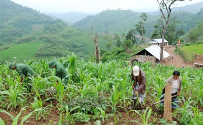 Политика, направленная на ликвидацию голода и бедности  в уезде Мыонгне