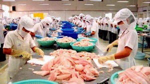 Вьетнамский пангасиус внесен в раздел "К устойчивому сертификату"