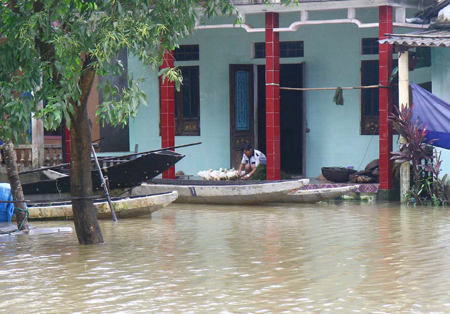 55 млрд. донгов и 3100 тонн риса предоставлено 4-м центральным провинциям