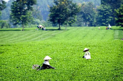 Стремление к быстрому и устойчивому снижению бедности