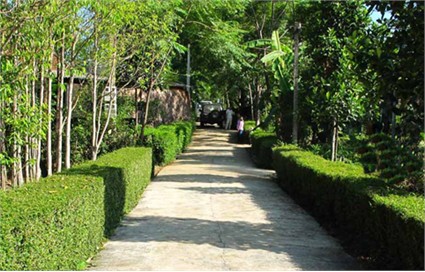 Изменяющийся облик вьетнамской деревни