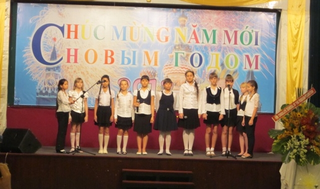 Общество вьетнамо-российской дружбы провело встречу в связи с Новым годом