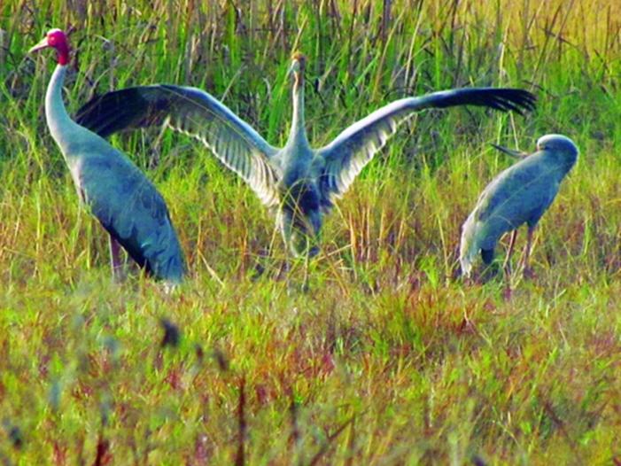 Тэйнинь привлекает к себе большое внимание туристов и инвесторов