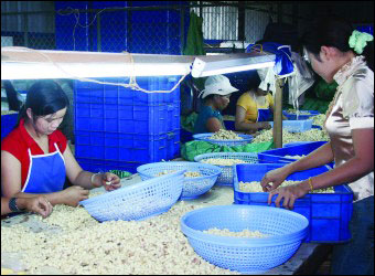 Достичь 13% прироста промышленного производства в 2012г.