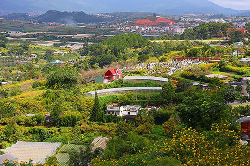 Туры для вьетнамских эмигрантов на Новый год