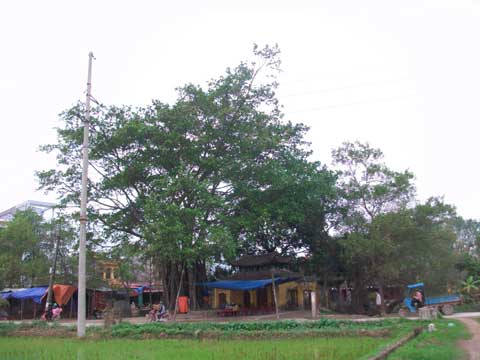 Фукхе - деревня резных изделий с изображениями драконов