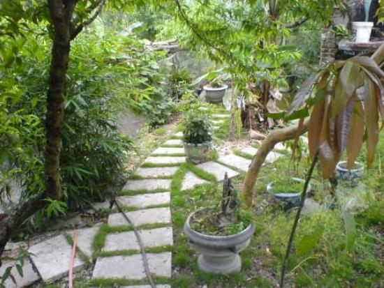 Cадовые домики в Хуэ