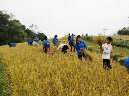 Мероприятия, посвященные Месячнику молодежи