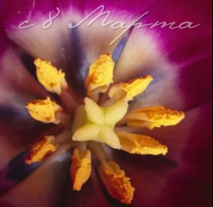 Открытки и поздравления с Международным женским днем