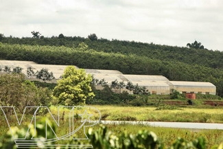 Чтобы жить на этом свете – нужно быть добрым