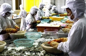 Вьетнам и США приступили к юридическим консультациям по тому факту...